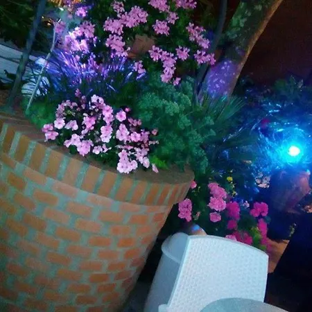 Lorena Hotel Cervia